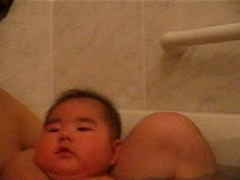 てんすけの嫌いなもの