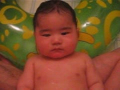 ぱたぱたぱたぱた
