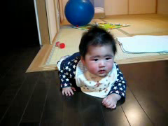 衝撃の瞬間（食事中の方はご遠慮ください）
