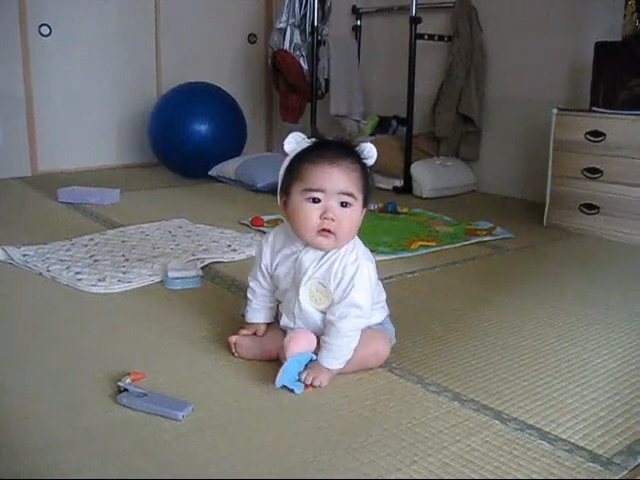 テディベア