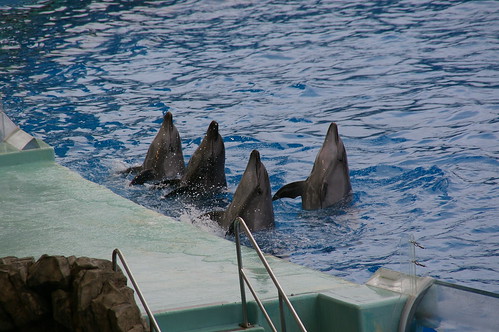 名古屋港水族館
