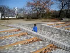 またまた白鳥公園