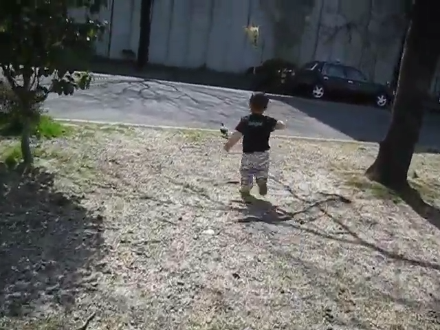 こら待て待て