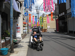 20110806.jpg