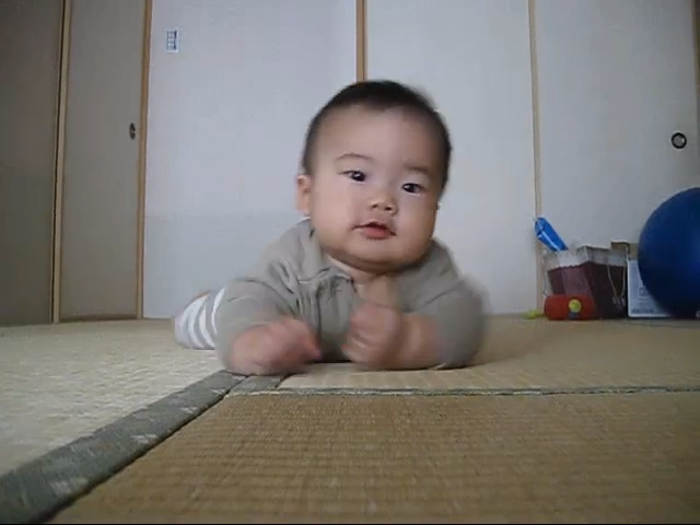迫るぽんたん