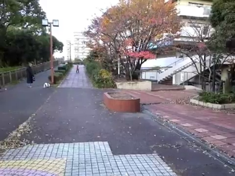 びゅんびゅん行くよ