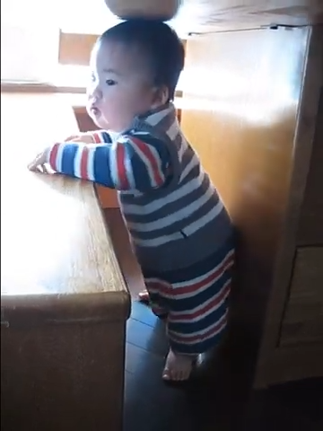 探検