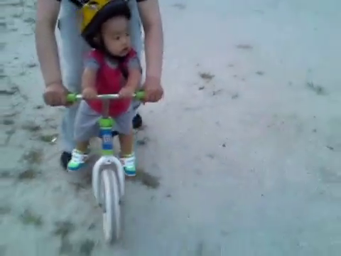 ぽんたんも自転車