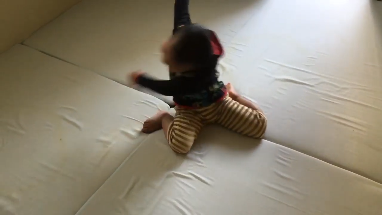 犬飼いたい
