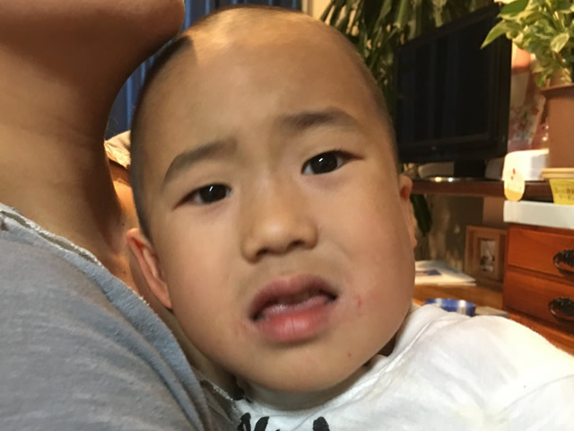 ハルベルト出現
