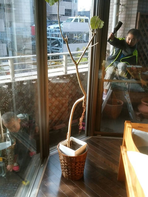 大掃除