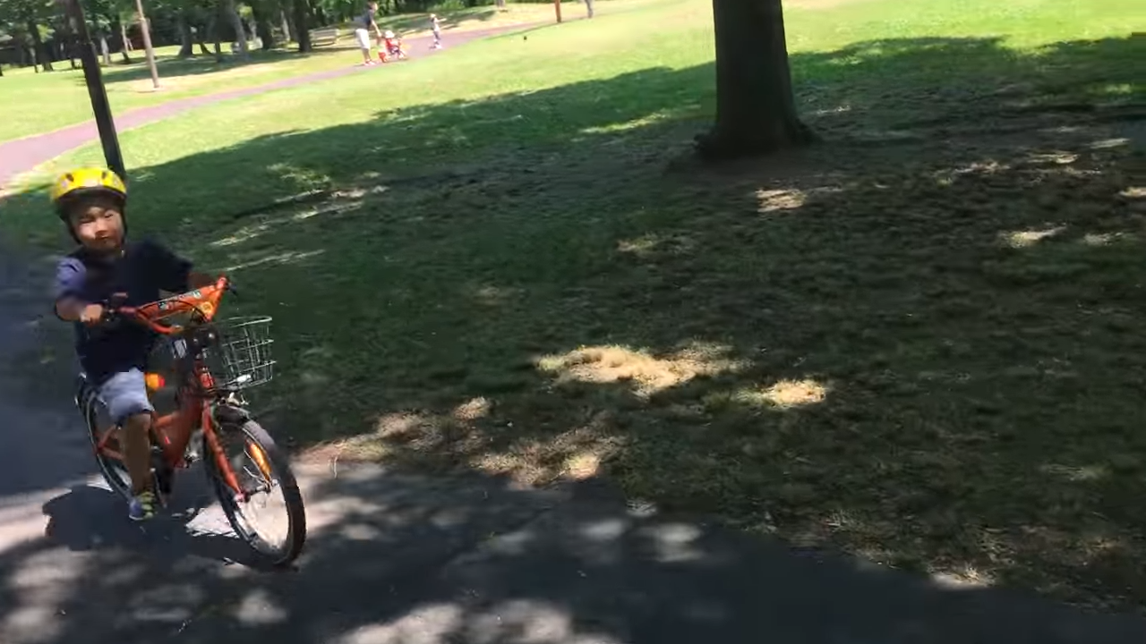 自転車ビュンビュン