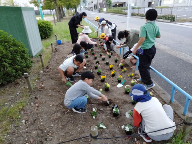 花壇植え付け